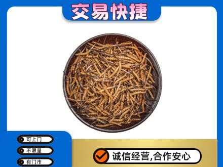 焦作礼品回收虫草.jpg